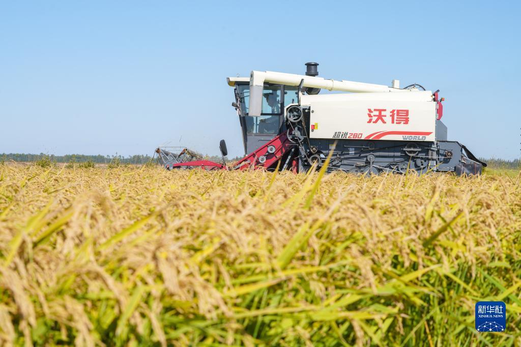 大奖888游戏下载